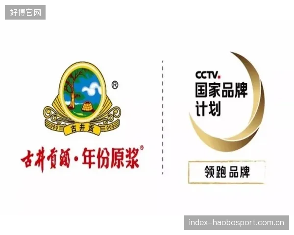 大连英博保级成功后启动豪购模式：开启品牌新篇章